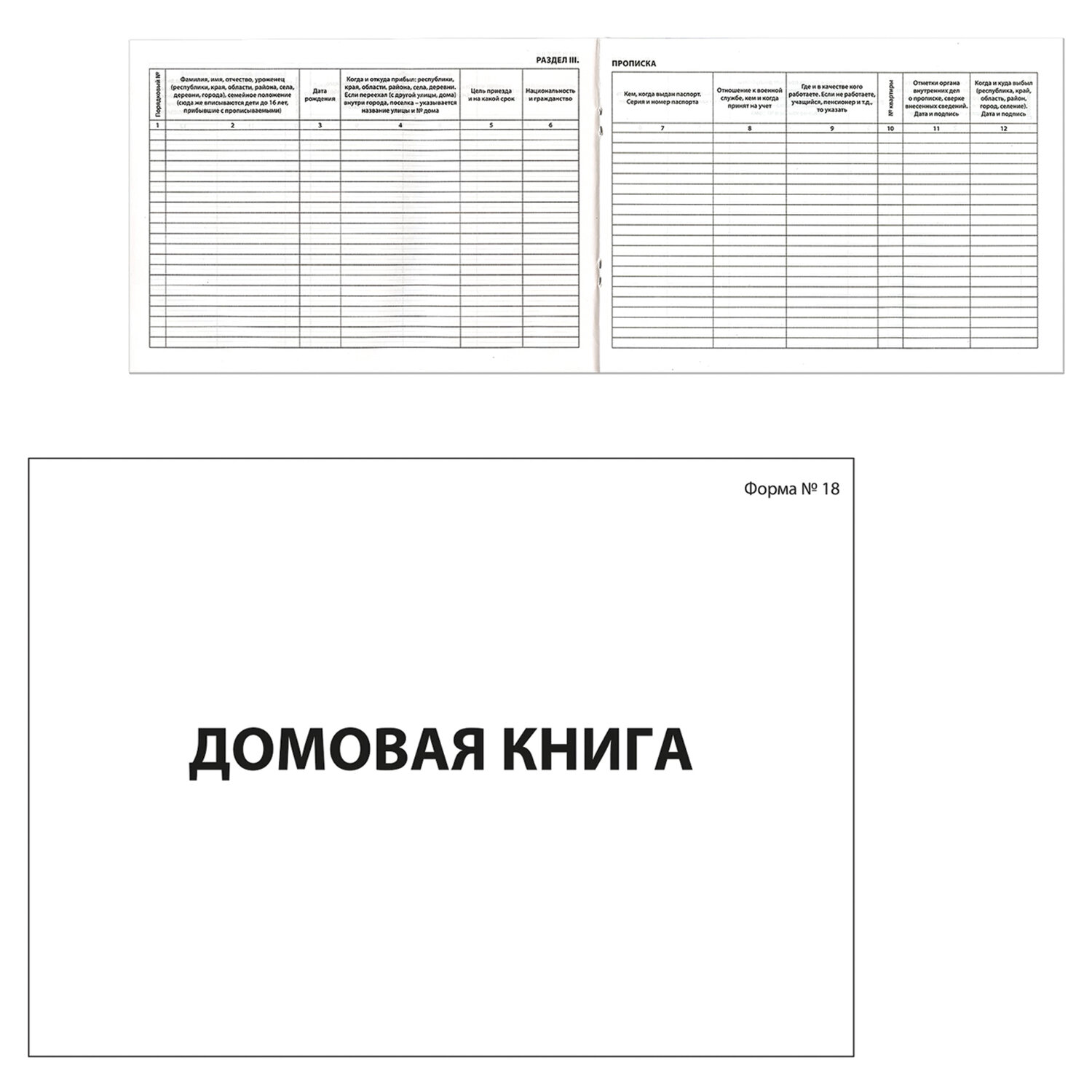 Книга форма 18. Домовая книга форма. Домовая книга бланк. Поквартирная книга. Домовая (поквартирная) книга